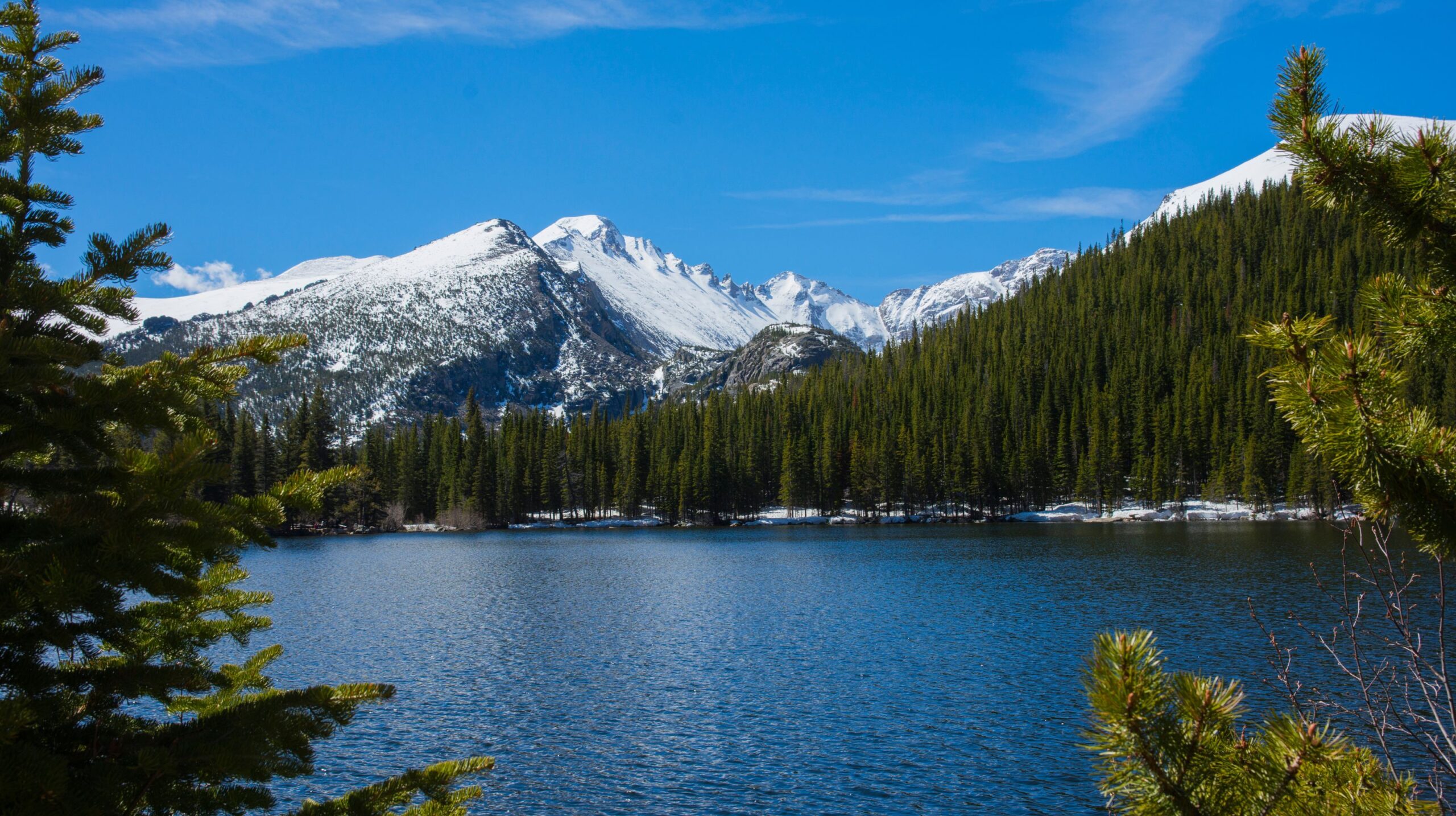 Wheelchair Accessible Nature Trails