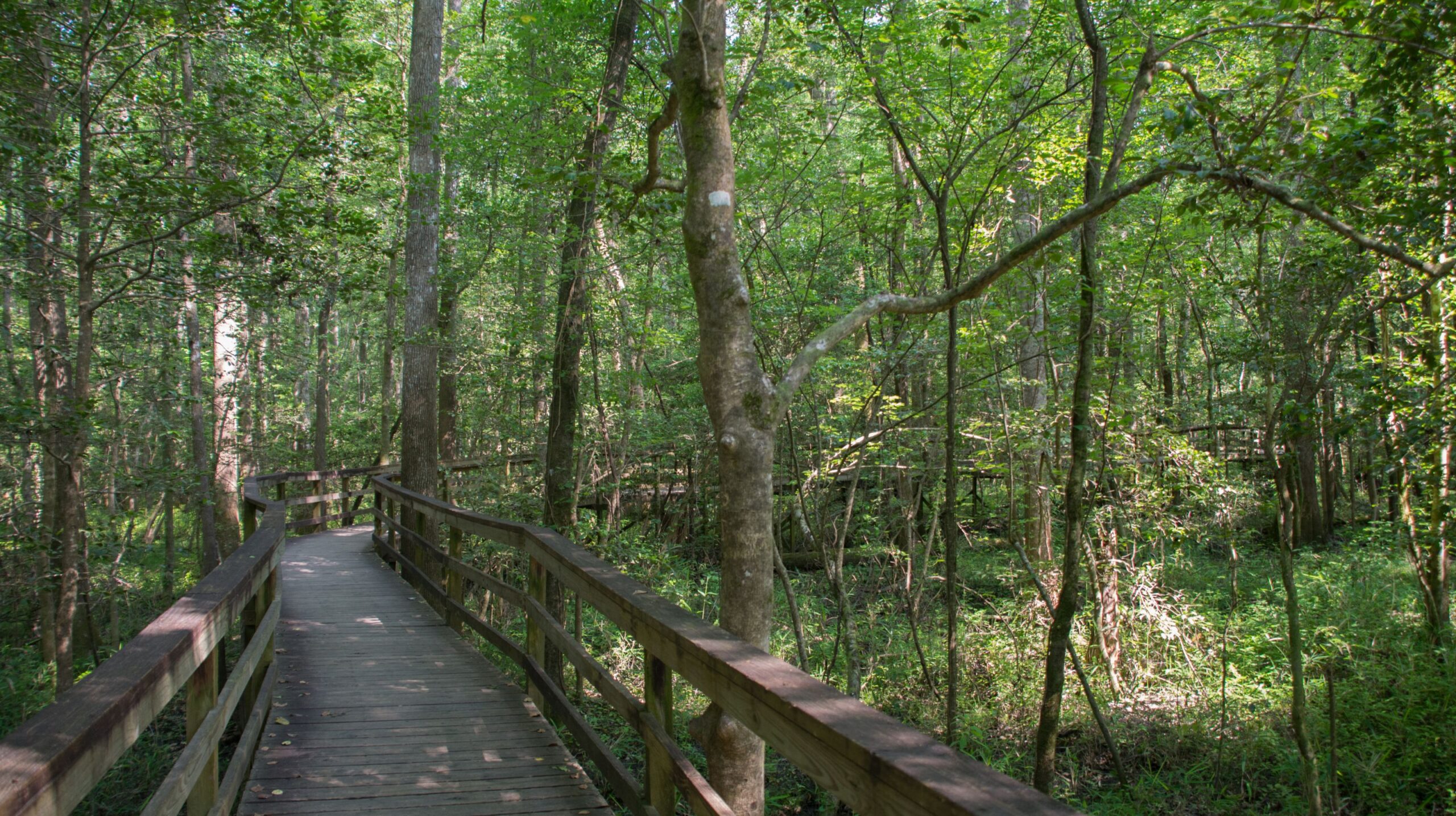 Wheelchair Accessible Nature Trails