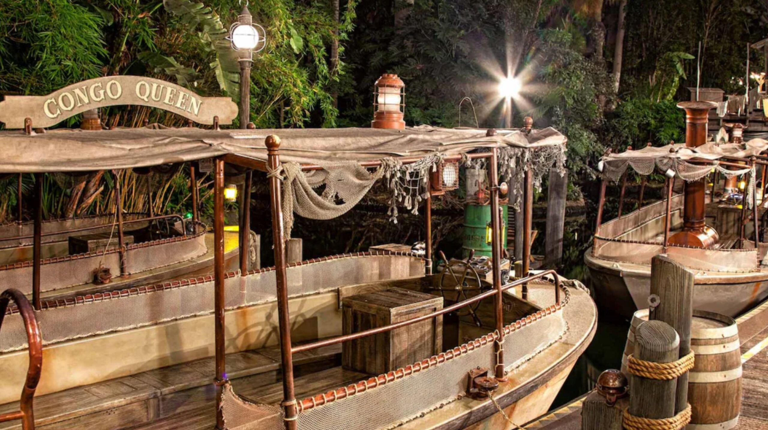 Wheelchair Accessible Disneyland Rides