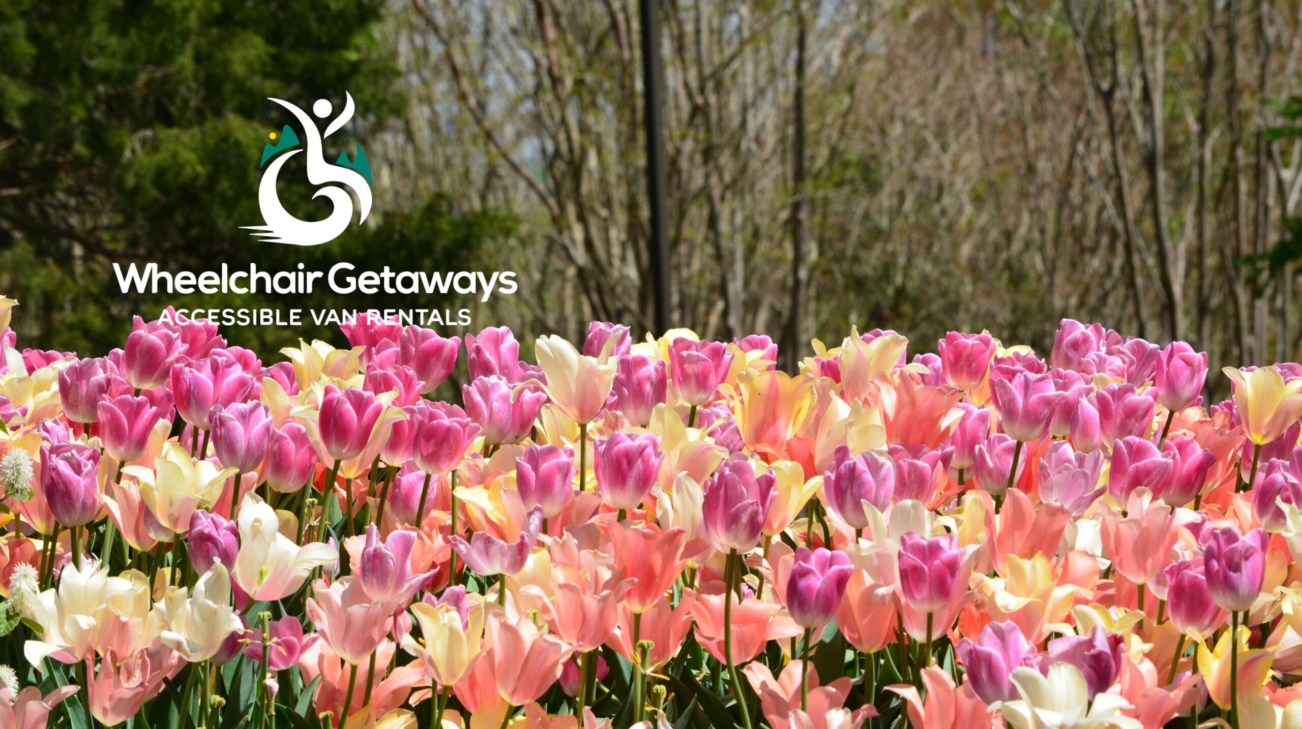 8 Accessible Spring Break Destinations