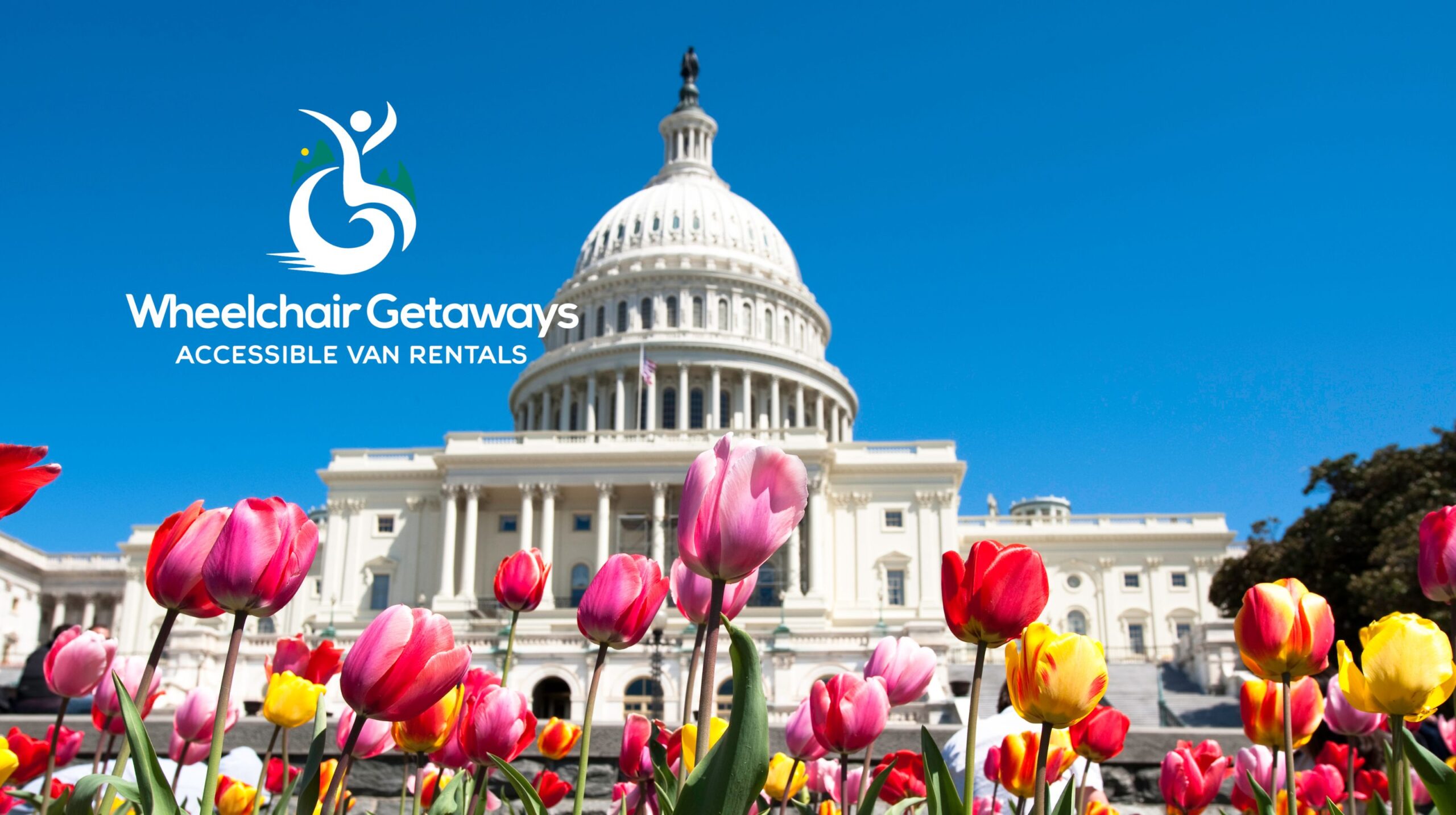 Top Destinations for Spring Flowers in the U.S.