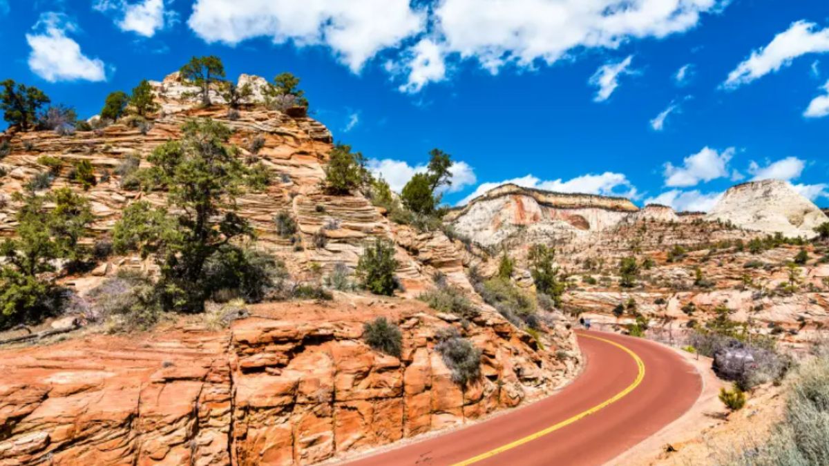 Zion-Mt. Carmel Highway Accessibility in Zion