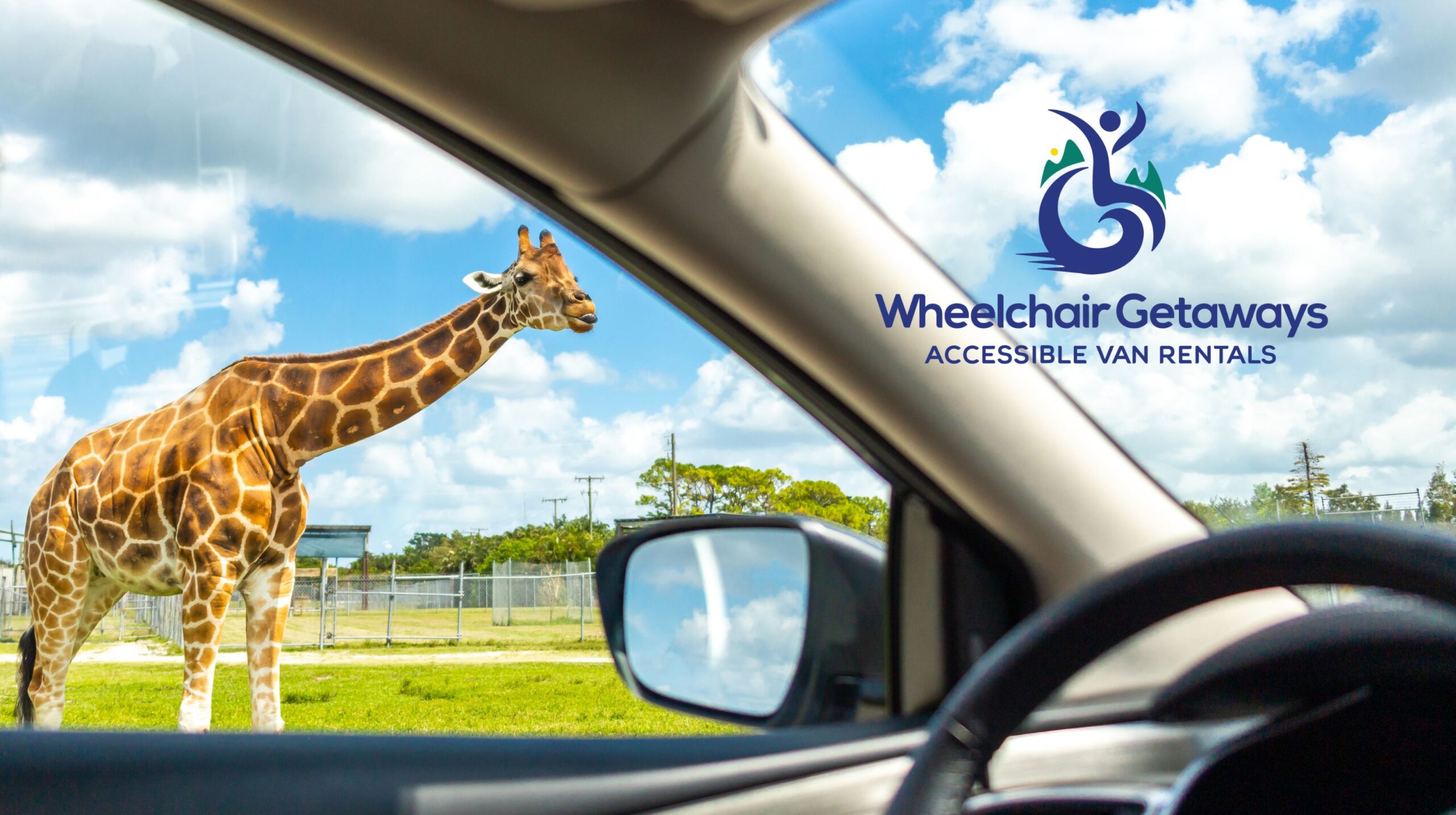 Wildlife Wonders: Discover Drive-Thru Wildlife Refuges in Your Rental Van