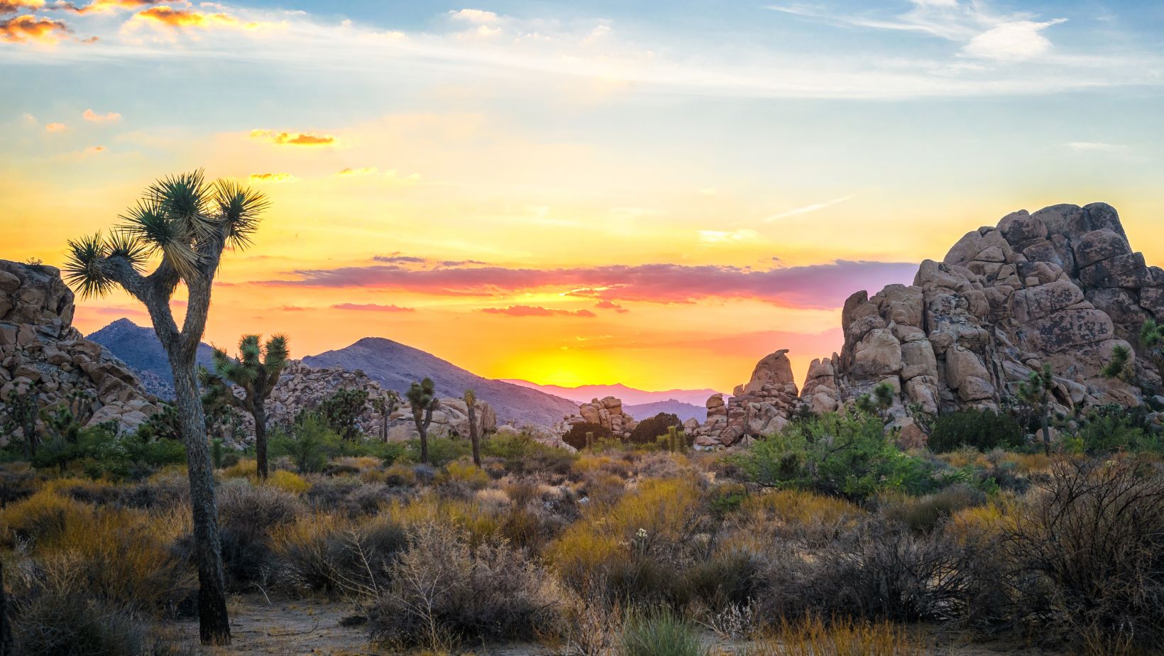 Accessible Spring Stargazing