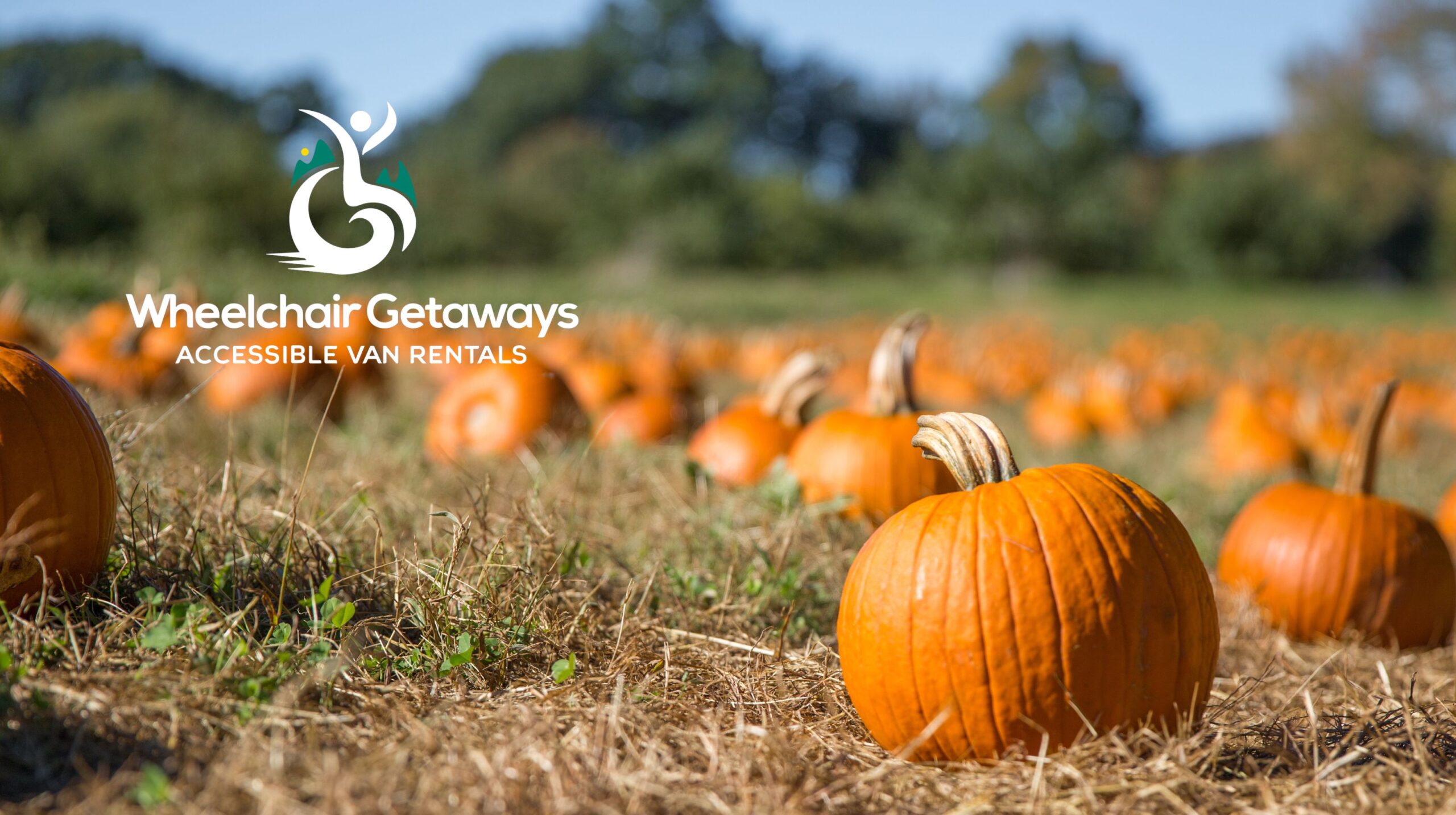 Beyond the Pumpkin Patch: Accessible Farm-to-Table Experiences Across the USA