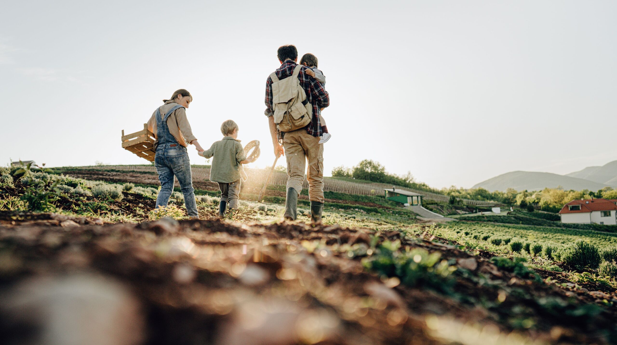 Accessible farm to table experiences