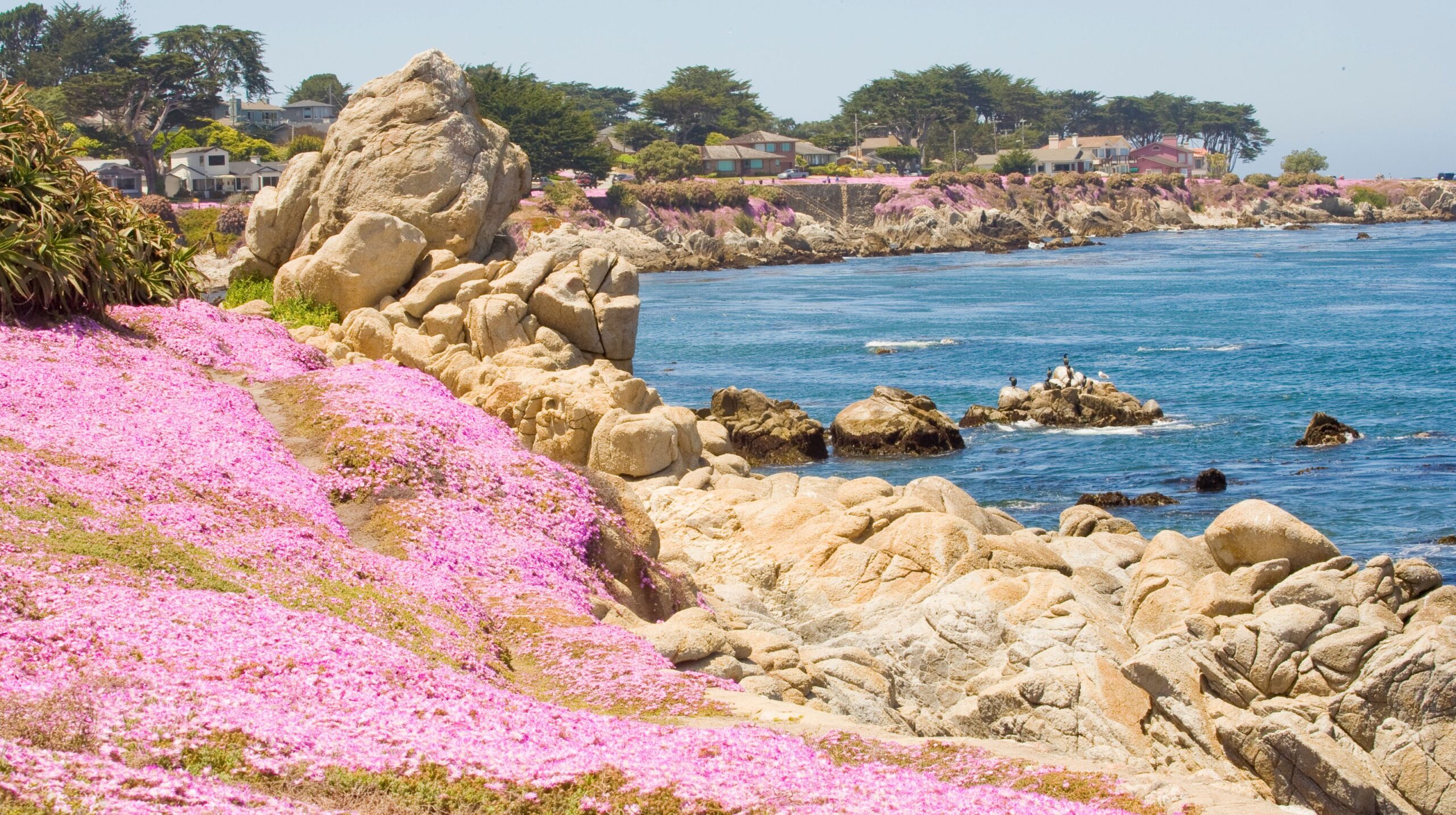 Accessible Thanksgiving Getaways