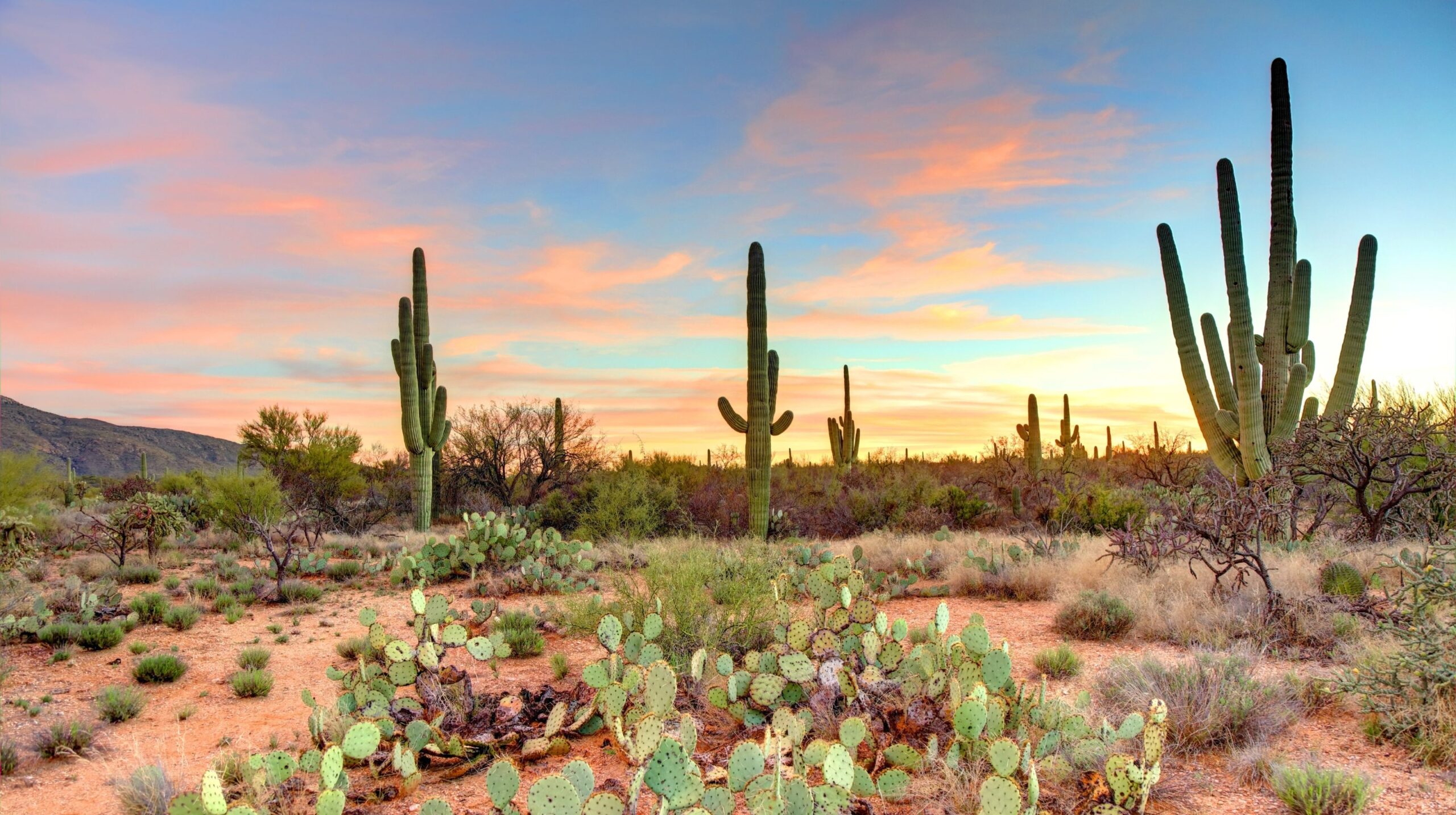 Accessible Thanksgiving Getaways